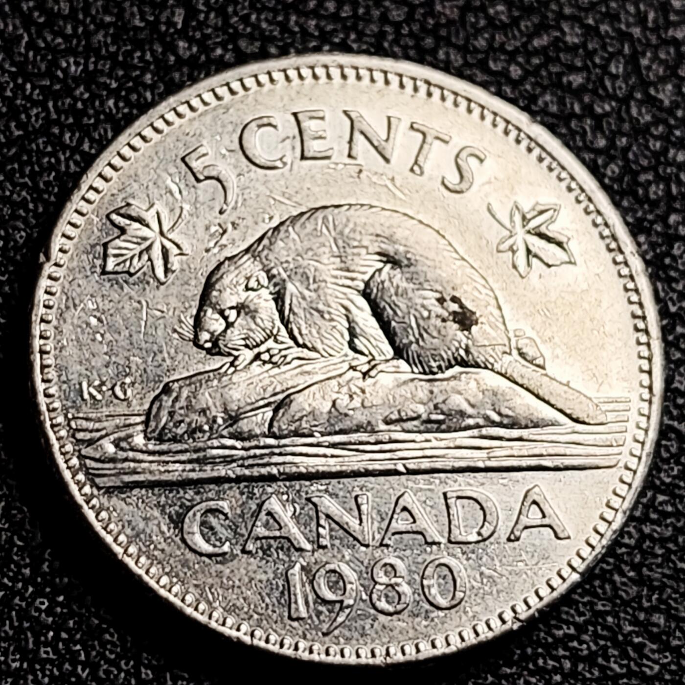 泉币菌-第231场-拍品多 请提前出价