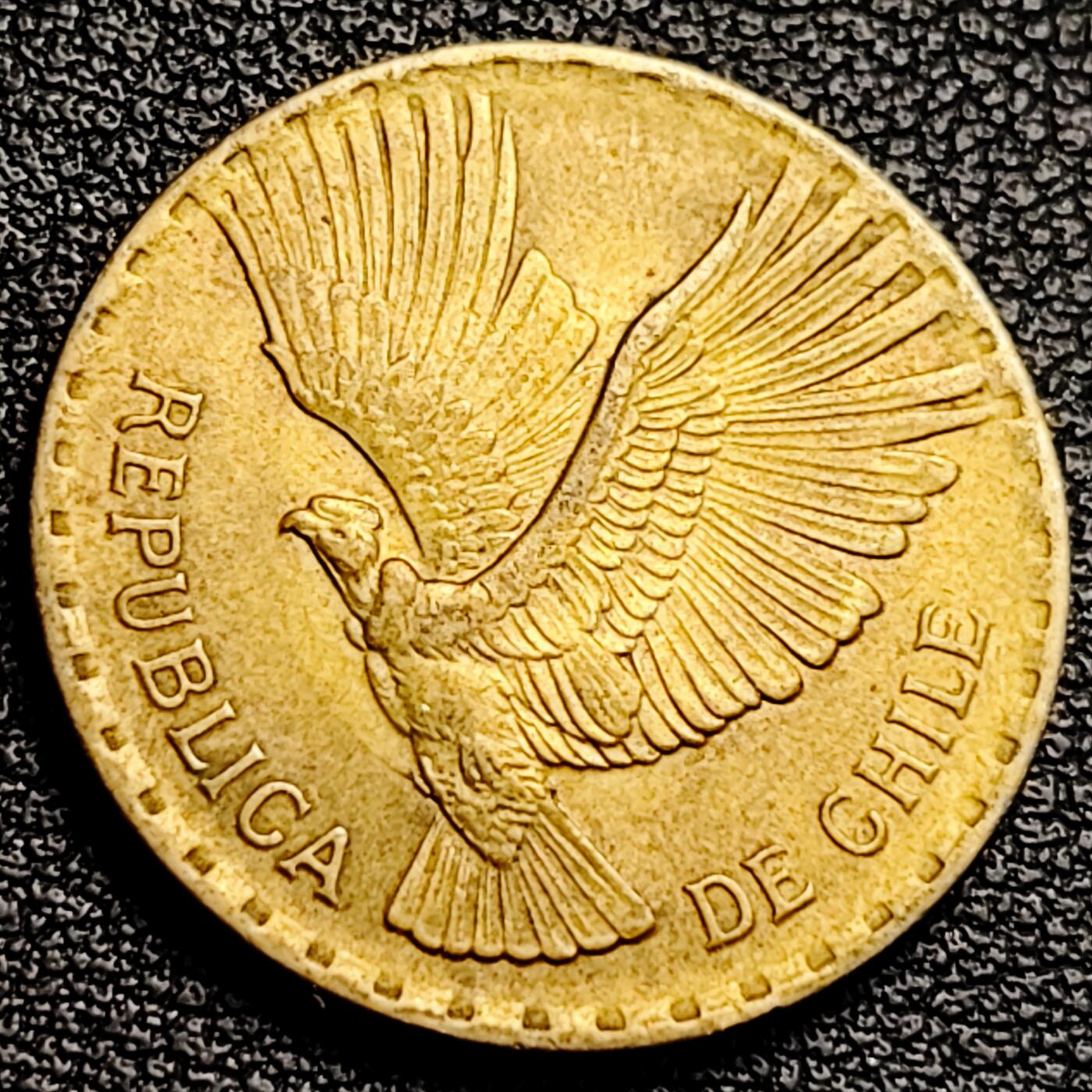 泉币菌-第231场-拍品多 请提前出价