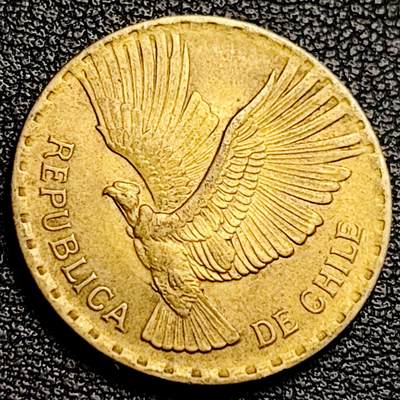 泉币菌-第231场-拍品多 请提前出价 展翅秃鹫 智利5分黄铜硬币 1964年 23.3毫米 4.12克