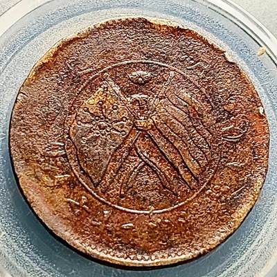 泉币菌-第231场-拍品多 请提前出价 湖南省造二十文铜元 嘉禾 32×1.5mm