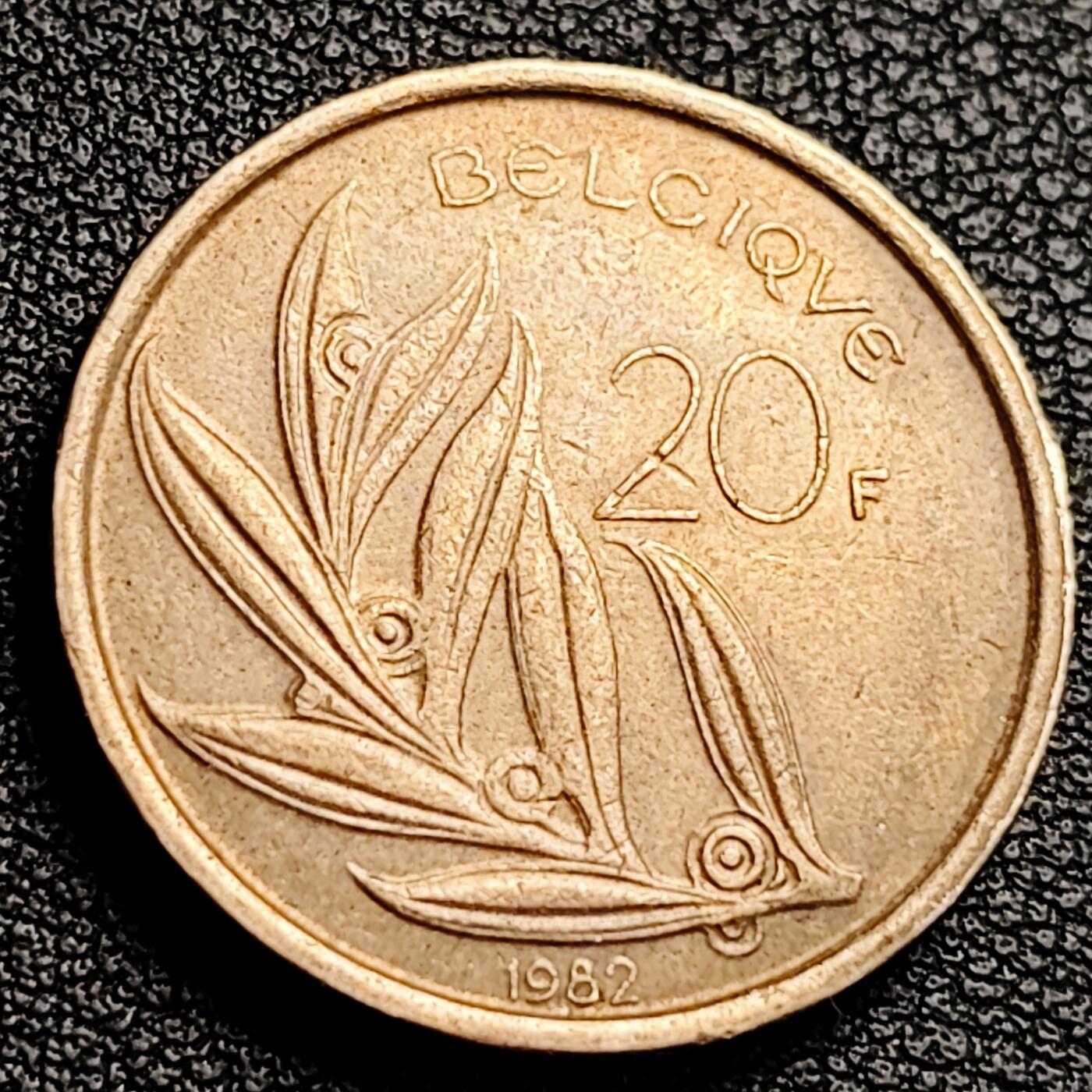 泉币菌-第231场-拍品多 请提前出价