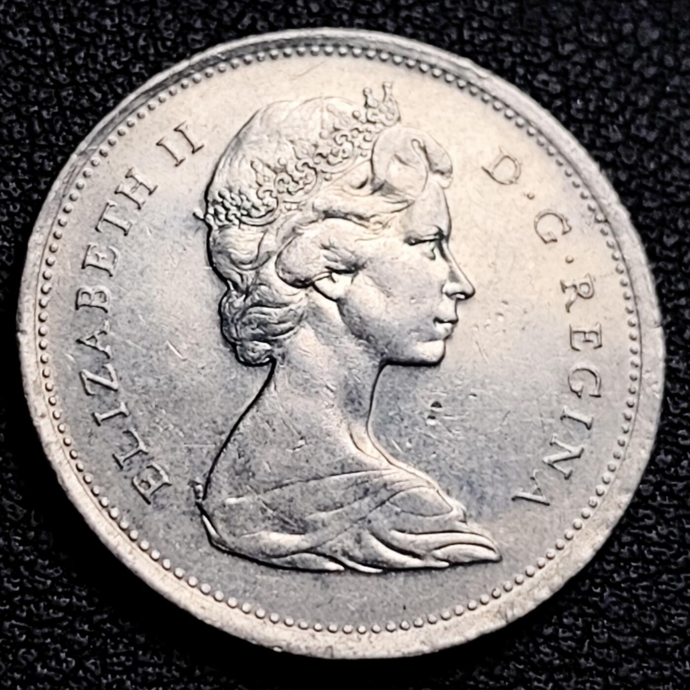 泉币菌-第231场-拍品多 请提前出价