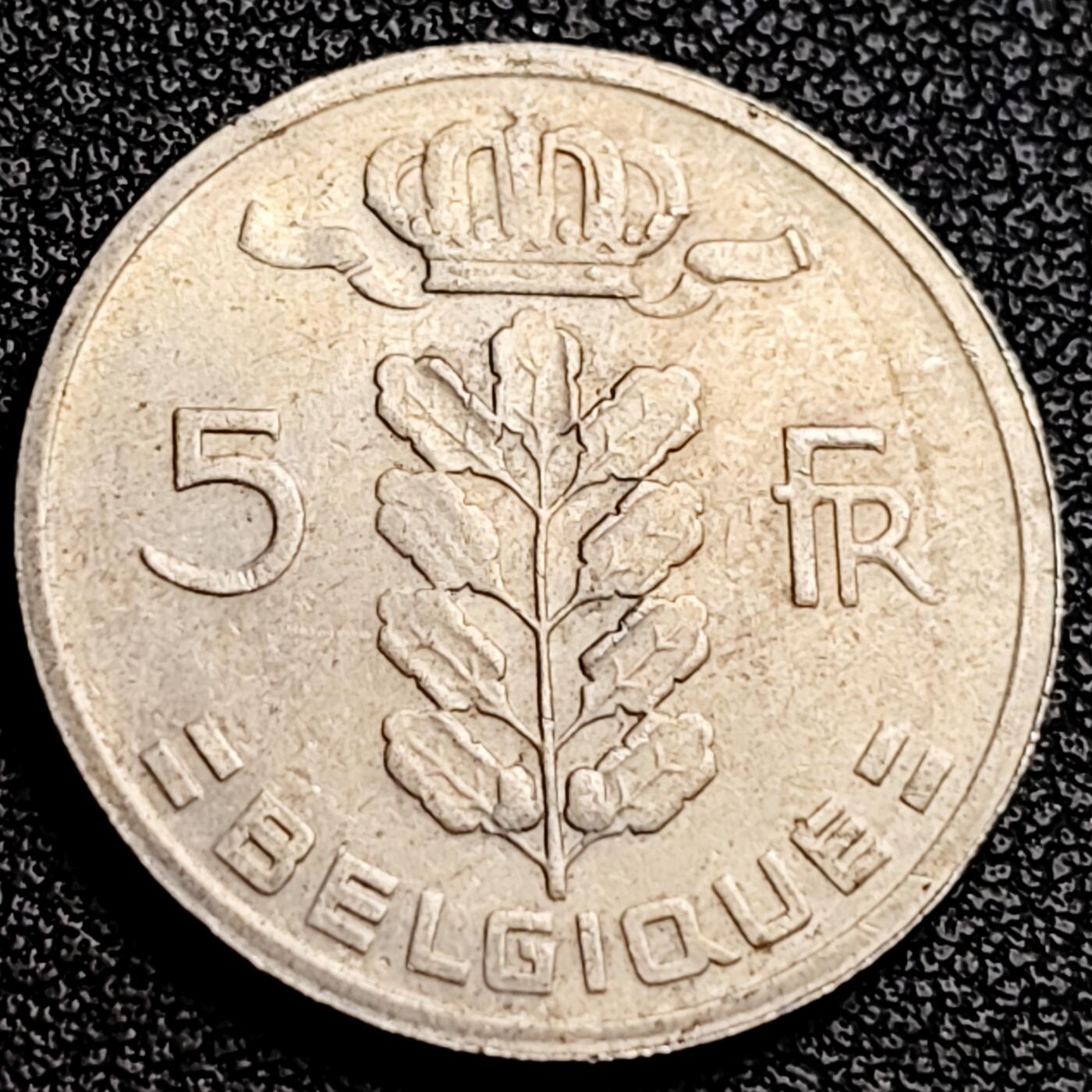 泉币菌-第231场-拍品多 请提前出价