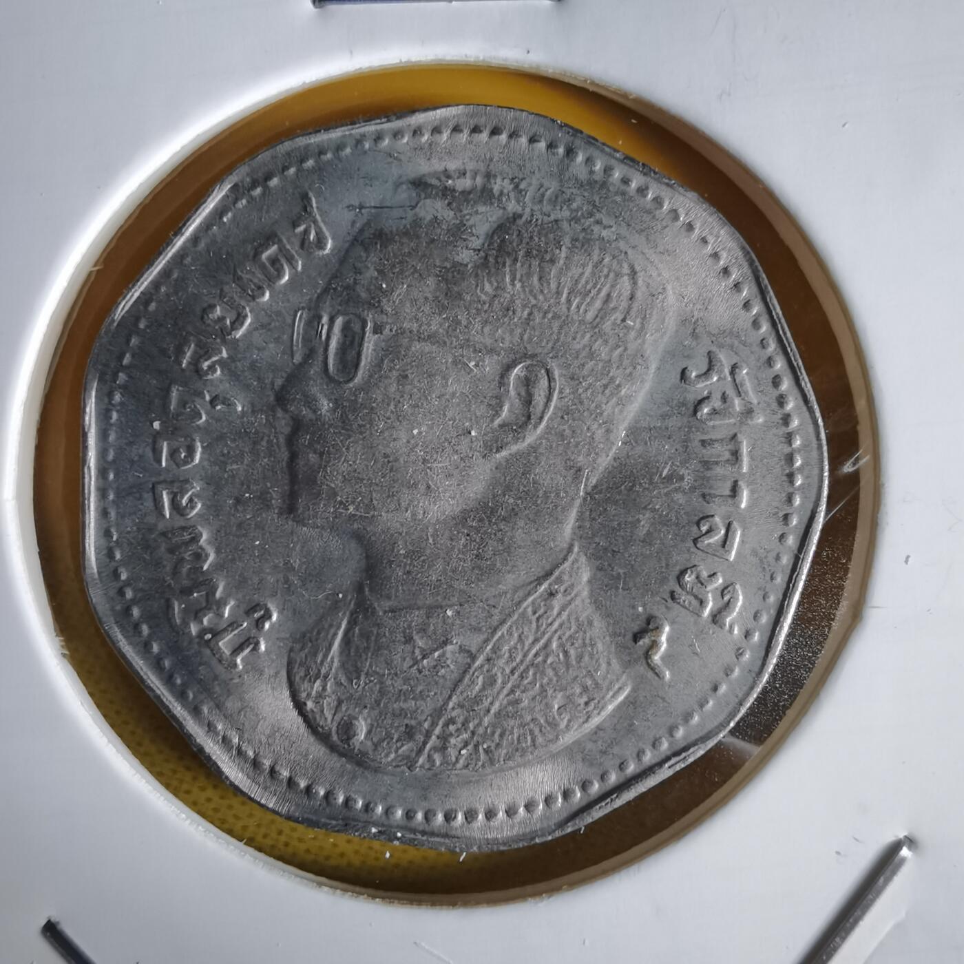 沼泽如烟--第1064场