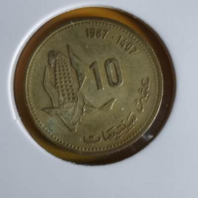 沼泽如烟--第1064场 摩洛哥1987年十分