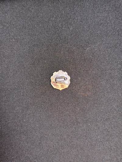 东亚欧洲主题杂货徽章勋章拍卖⑩ （五一大拍350+） 日本海军协会会员章（珐琅版本非后期油漆版本）