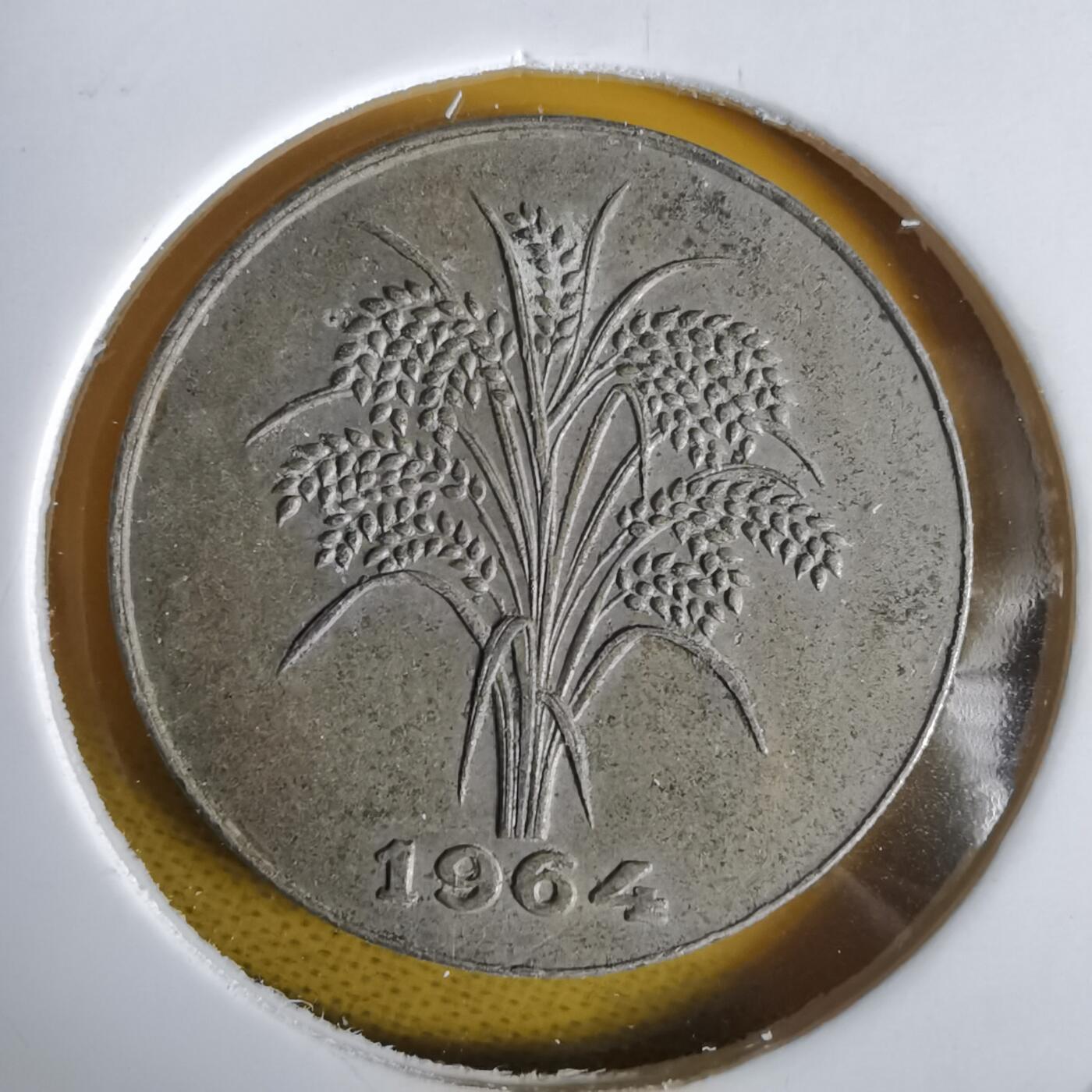 沼泽如烟--第1064场