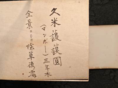 东亚欧洲主题杂货徽章勋章拍卖⑩ （五一大拍350+） 日本战时冲绳地区相册 上 55张左右（此处出价）