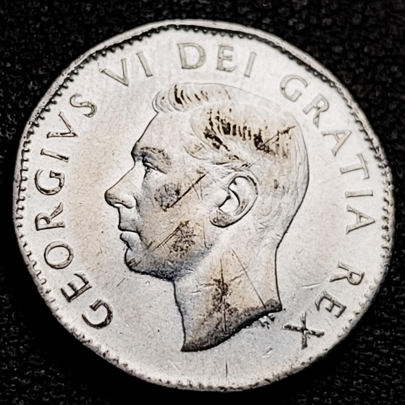 泉币菌-第231场-拍品多 请提前出价