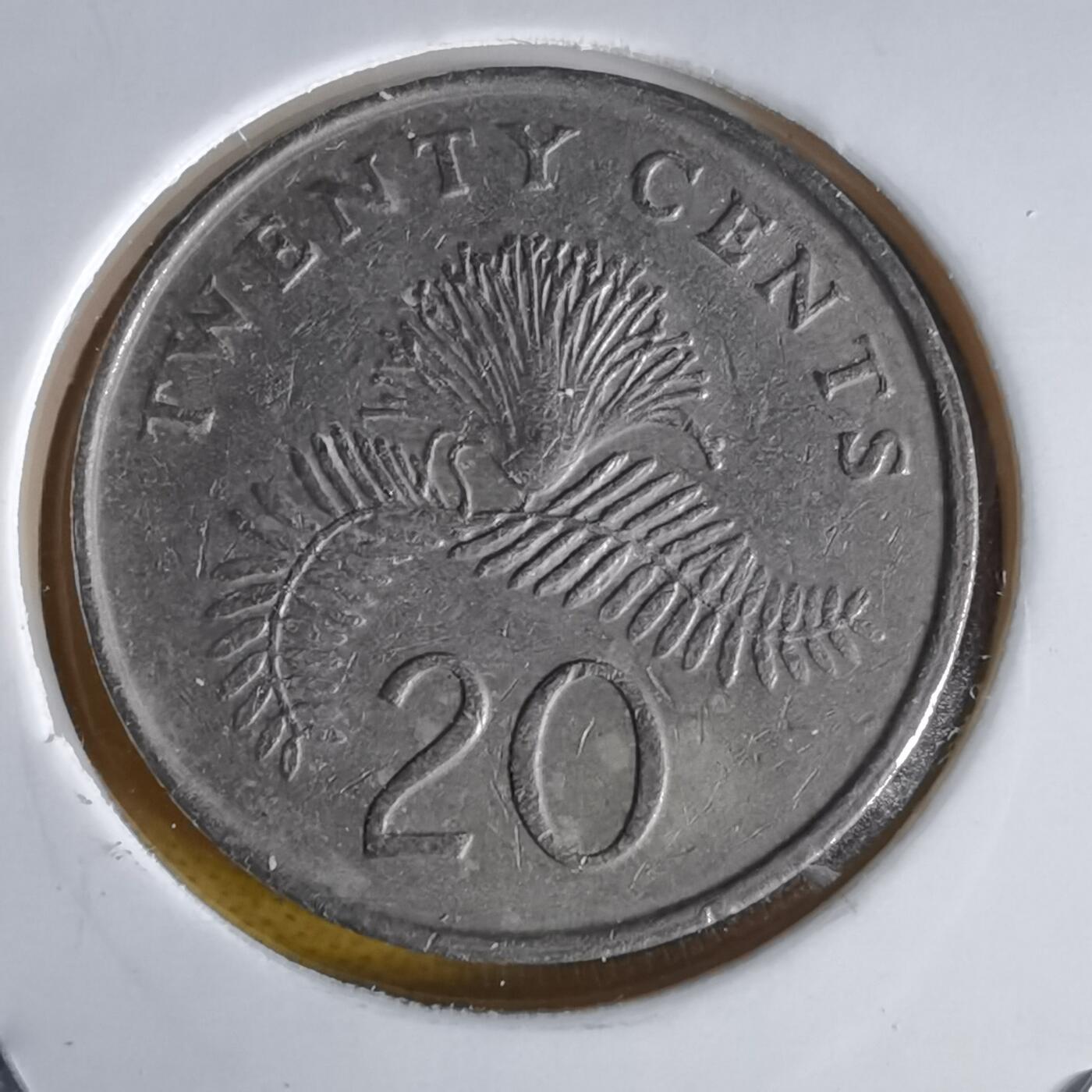 沼泽如烟--第1064场