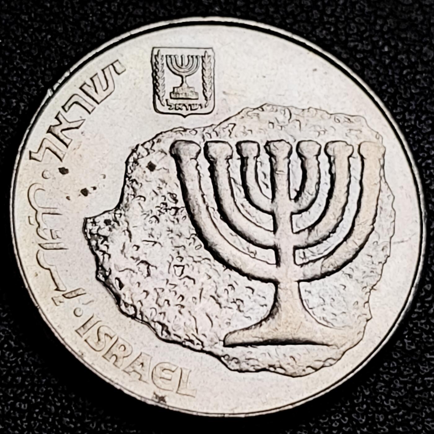 泉币菌-第231场-拍品多 请提前出价