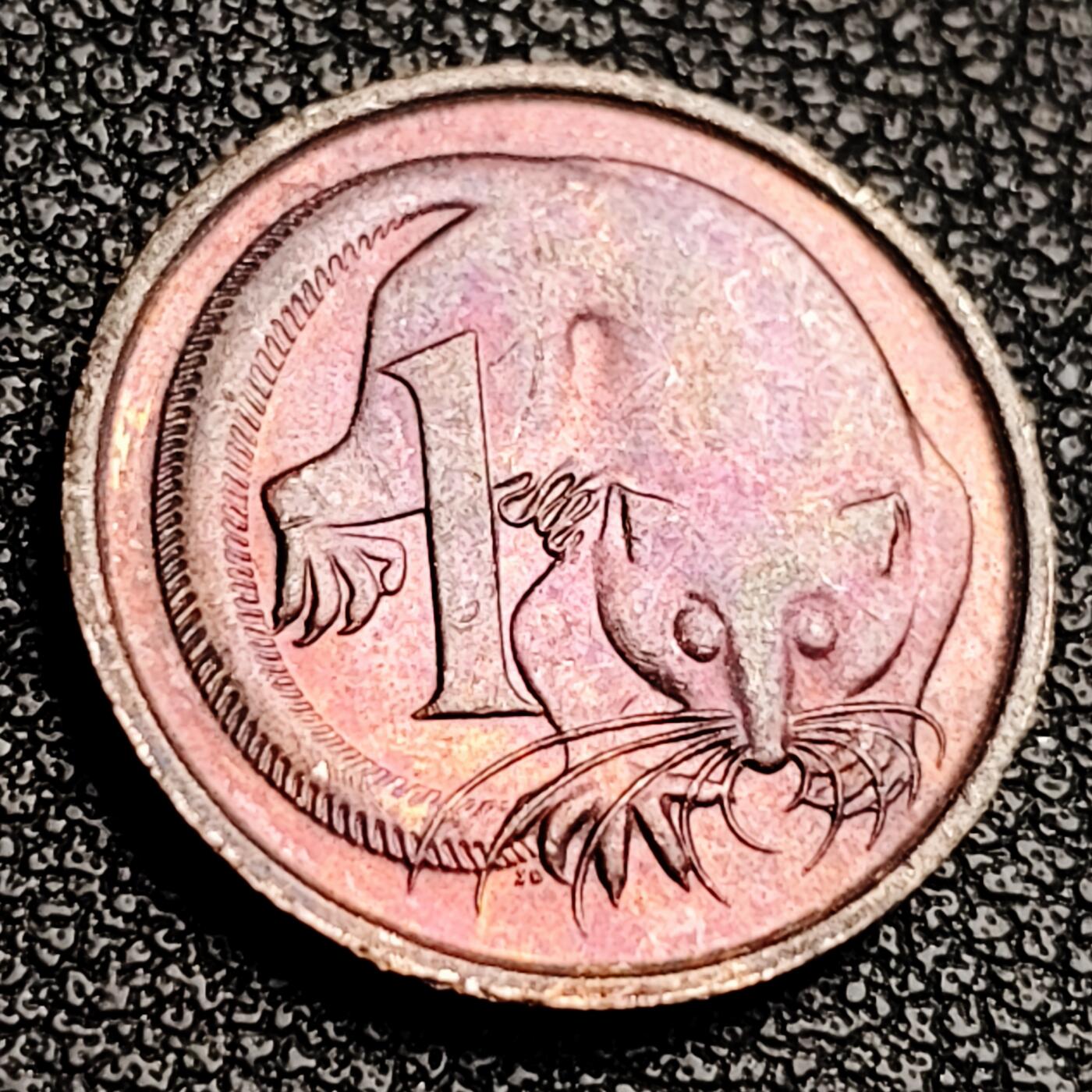 泉币菌-第231场-拍品多 请提前出价