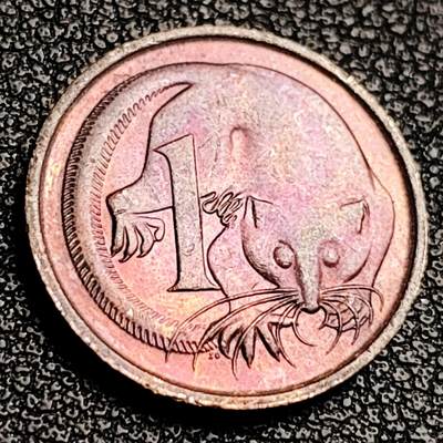 泉币菌-第231场-拍品多 请提前出价 彩光 澳大利亚1分青铜币鼯鼠 17.5mm 大洋洲