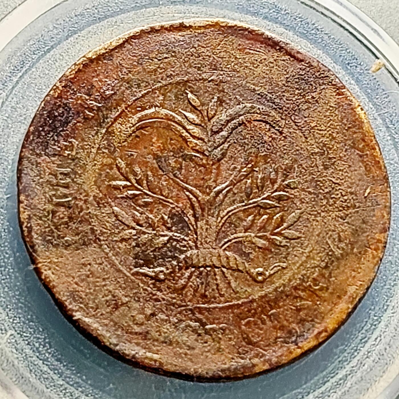 泉币菌-第231场-拍品多 请提前出价