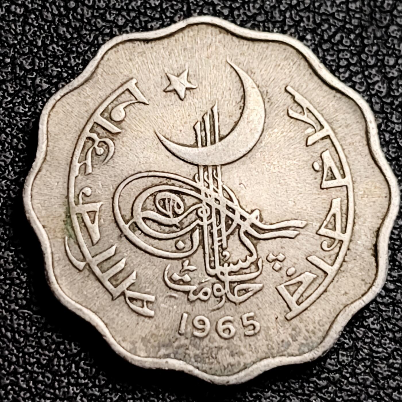 泉币菌-第231场-拍品多 请提前出价