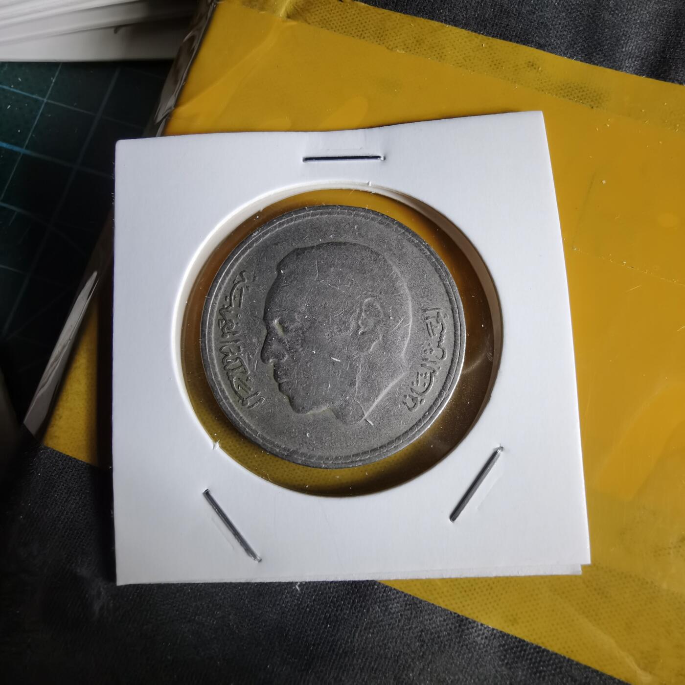 沼泽如烟--第1064场