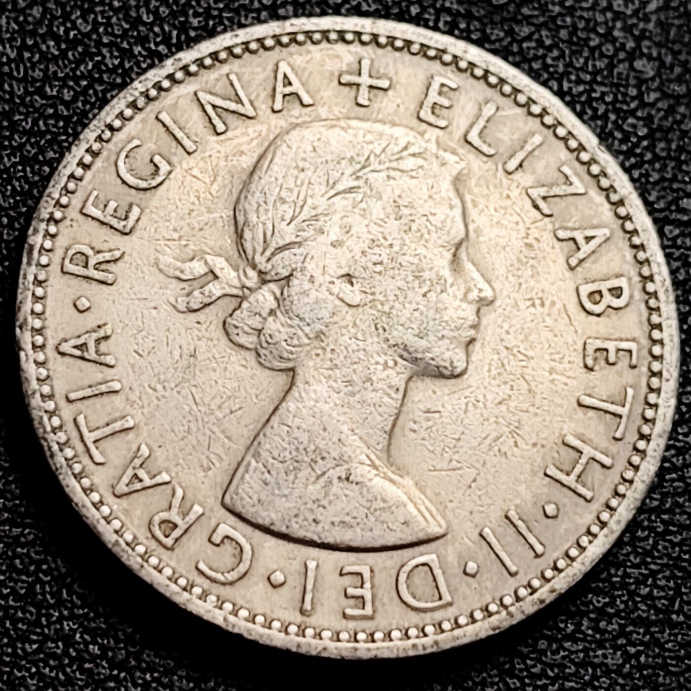 泉币菌-第231场-拍品多 请提前出价