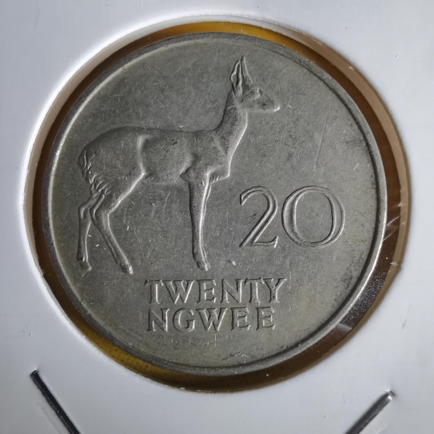 沼泽如烟--第1064场