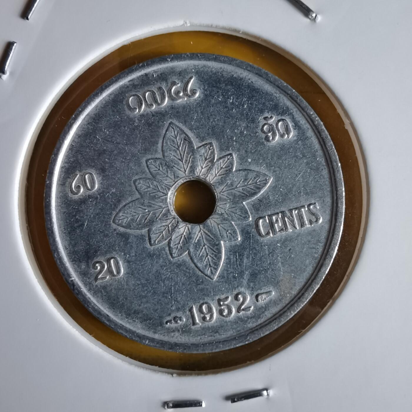 沼泽如烟--第1066场