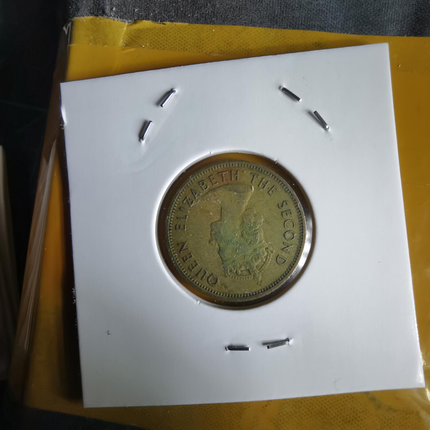 沼泽如烟--第1066场