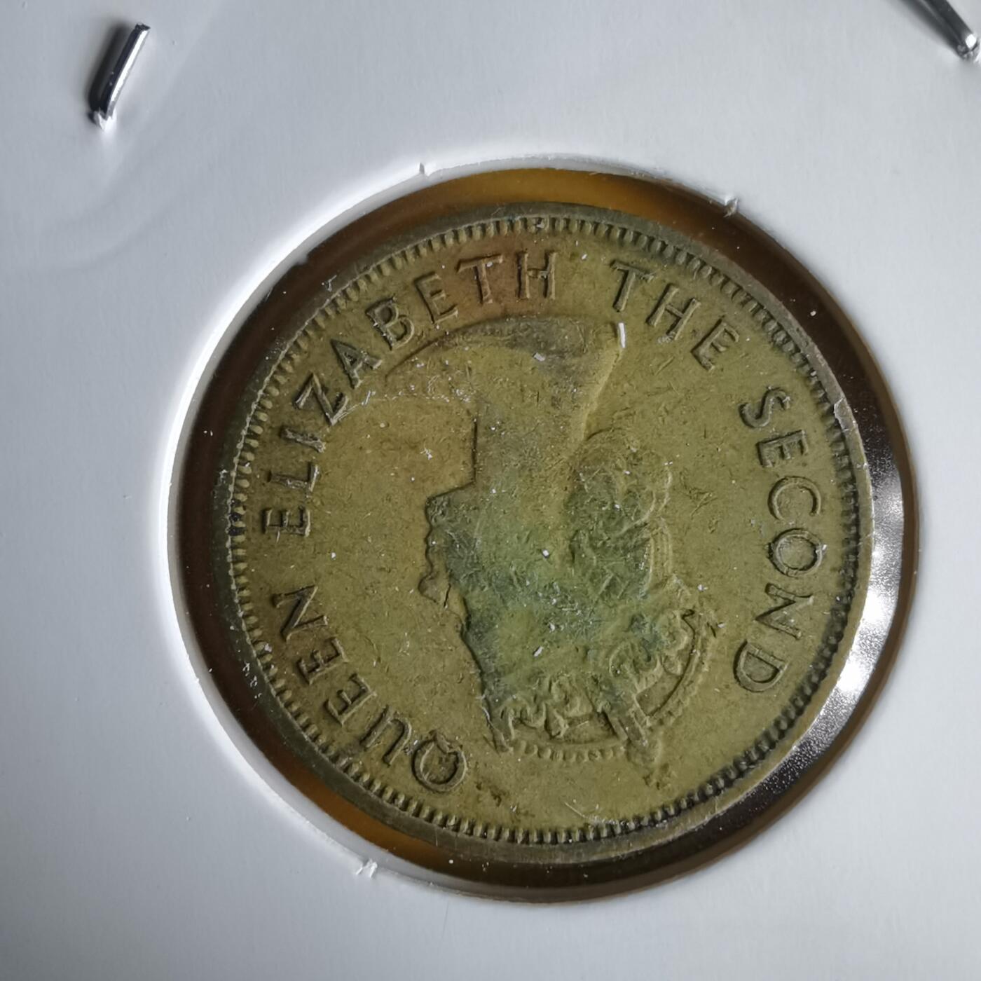 沼泽如烟--第1066场