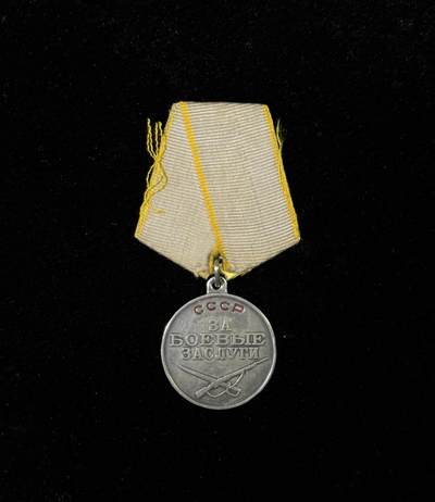 戎马世界章牌大赏第115期 苏联战功奖章，号段2662353，门环版，有档案