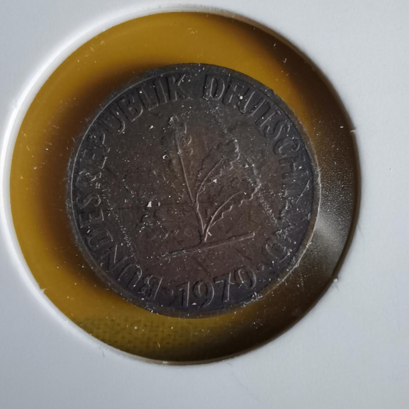 沼泽如烟--第1066场