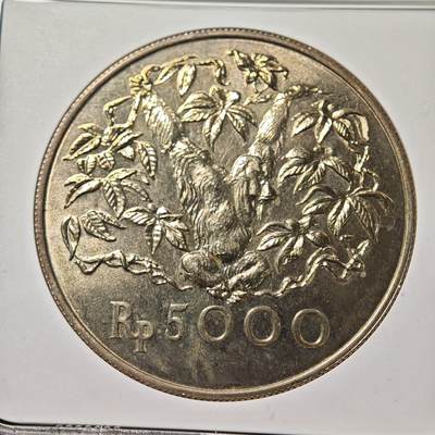 【德藏】世界币章拍卖第171期（拍品征集中~欢迎藏友联系） 1974年 印度尼西亚猩猩5000卢比精制银币 NGC MS66 状态极佳