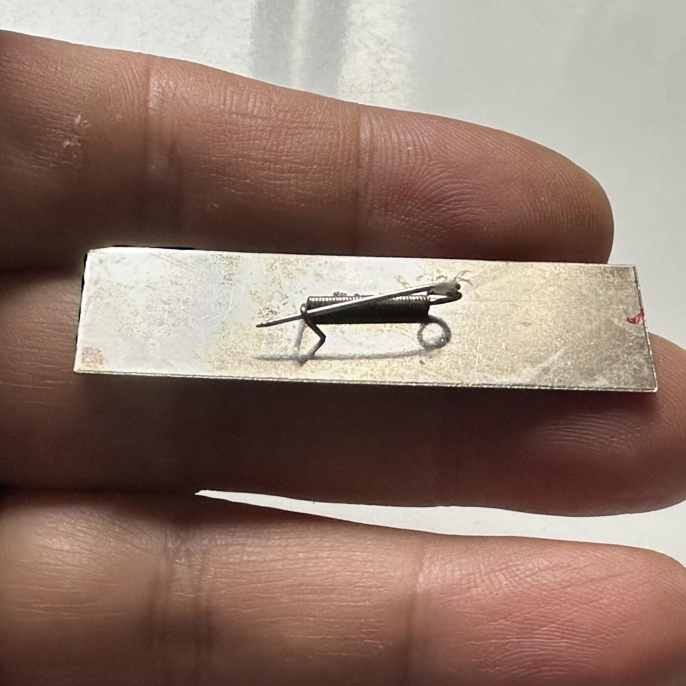 🌹外币初藏🌹🐯2026年第46场   每周二四六晚8️⃣点  世界硬币 苏联泰国纪念币