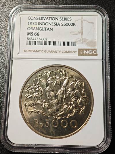 【德藏】世界币章拍卖第171期（拍品征集中~欢迎藏友联系） 1974年 印度尼西亚猩猩5000卢比精制银币 NGC MS66 状态极佳