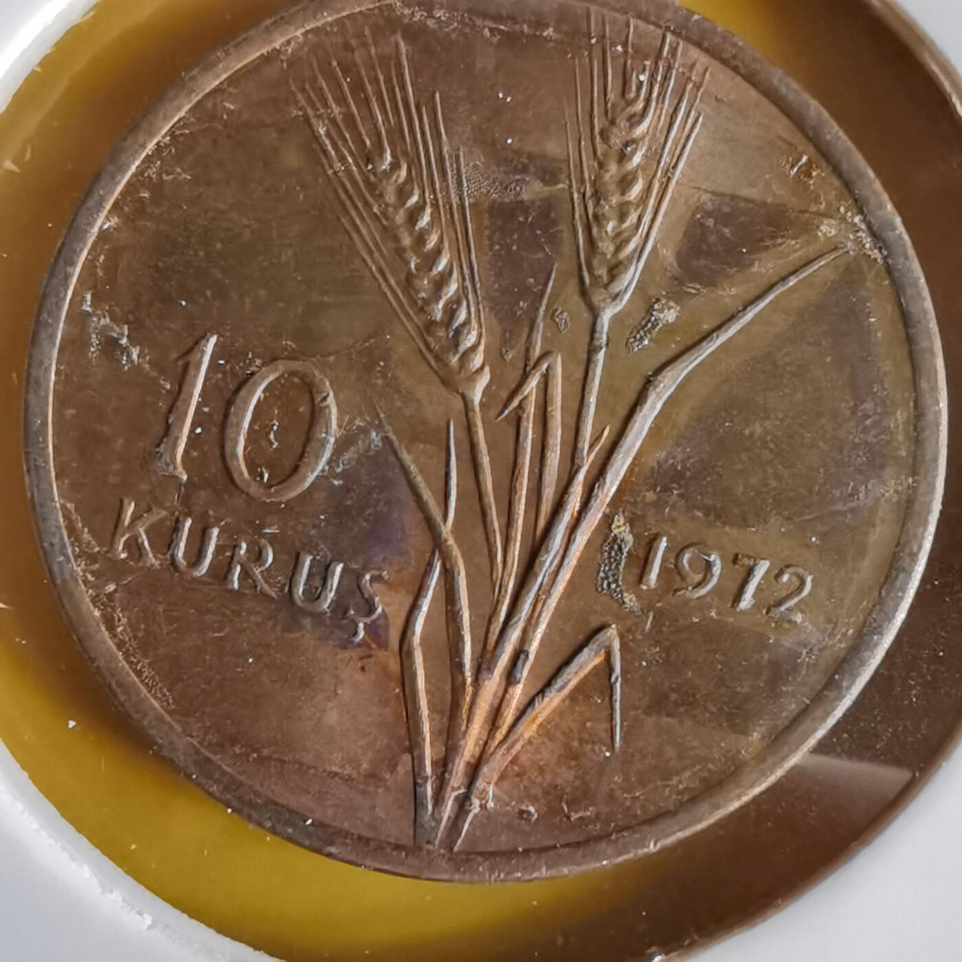 沼泽如烟--第1066场