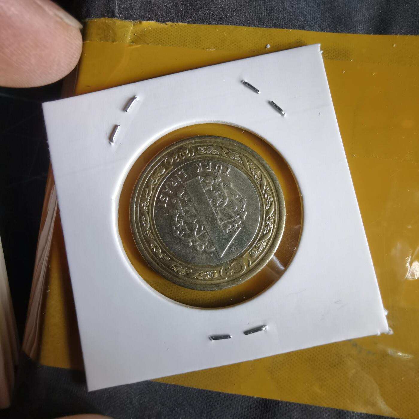 沼泽如烟--第1066场