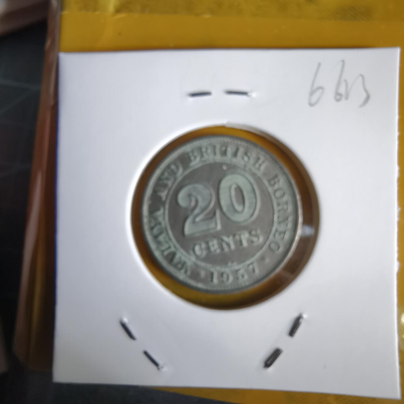 沼泽如烟--第1066场