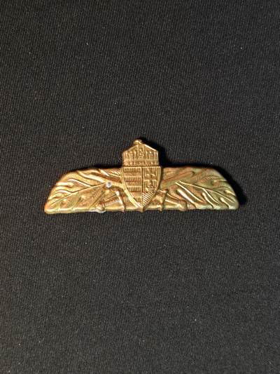 东亚欧洲主题杂货徽章勋章拍卖⑩ （五一大拍350+） 匈牙利空军兵种识别章 1