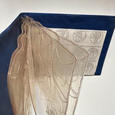 🌹外币初藏🌹🐯2026年第46场   每周二四六晚8️⃣点  世界硬币 苏联泰国纪念币 苏联纪念币 空册带图谱 勿拍 送给本场拍苏联币数量最多的朋友，如数量相同则以得拍价高者得 