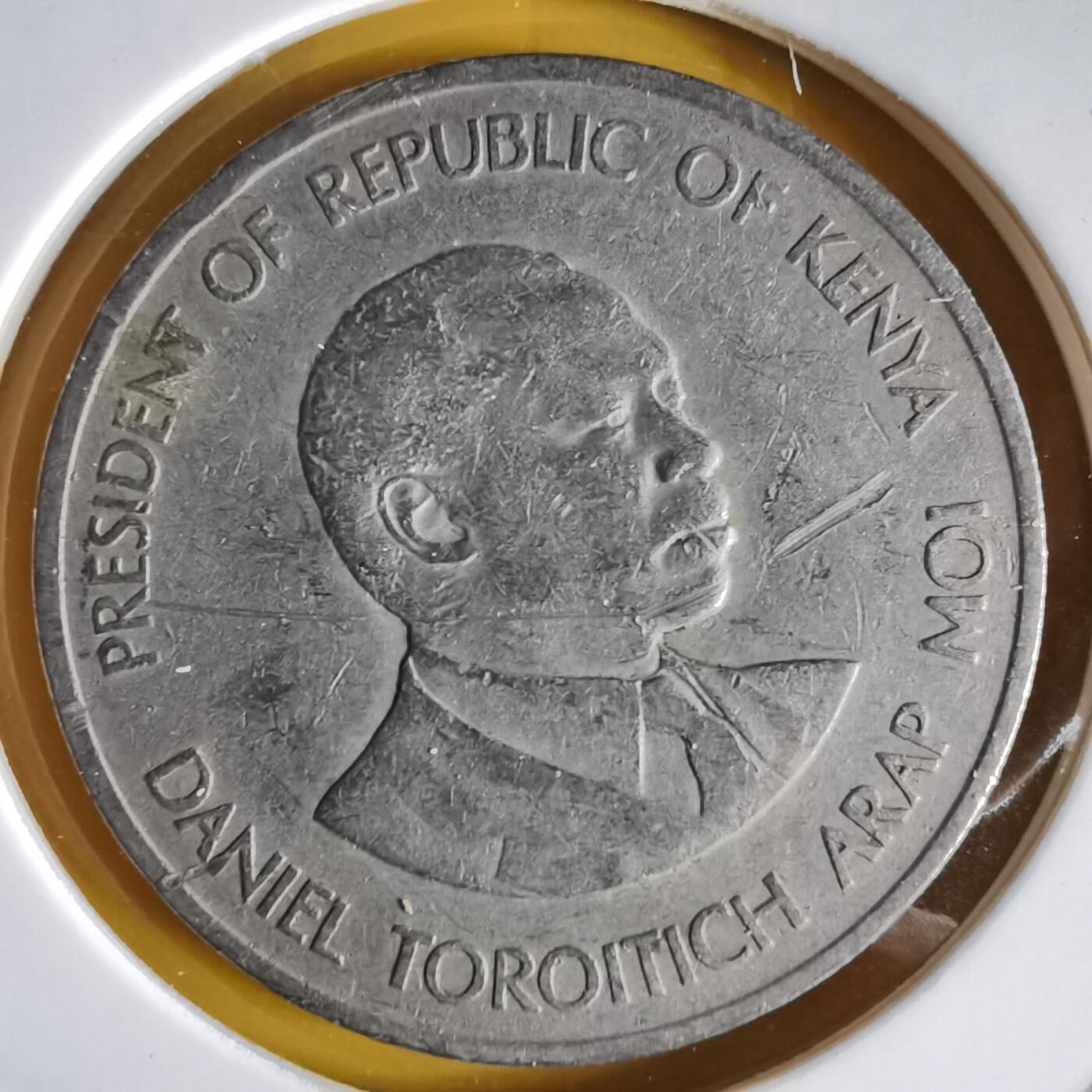 沼泽如烟--第1066场