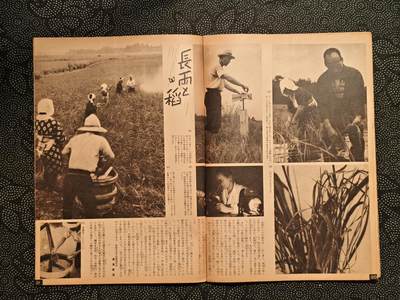 东亚欧洲主题杂货徽章勋章拍卖⑩ （五一大拍350+） 内阁情报部所发 写真周报 （上海陆战队纪念 ABCD包围网 南亚战线开辟 南亚增援自行车疾行 日泰亲善 日华亲善打到蒋 兵队小故事 ）