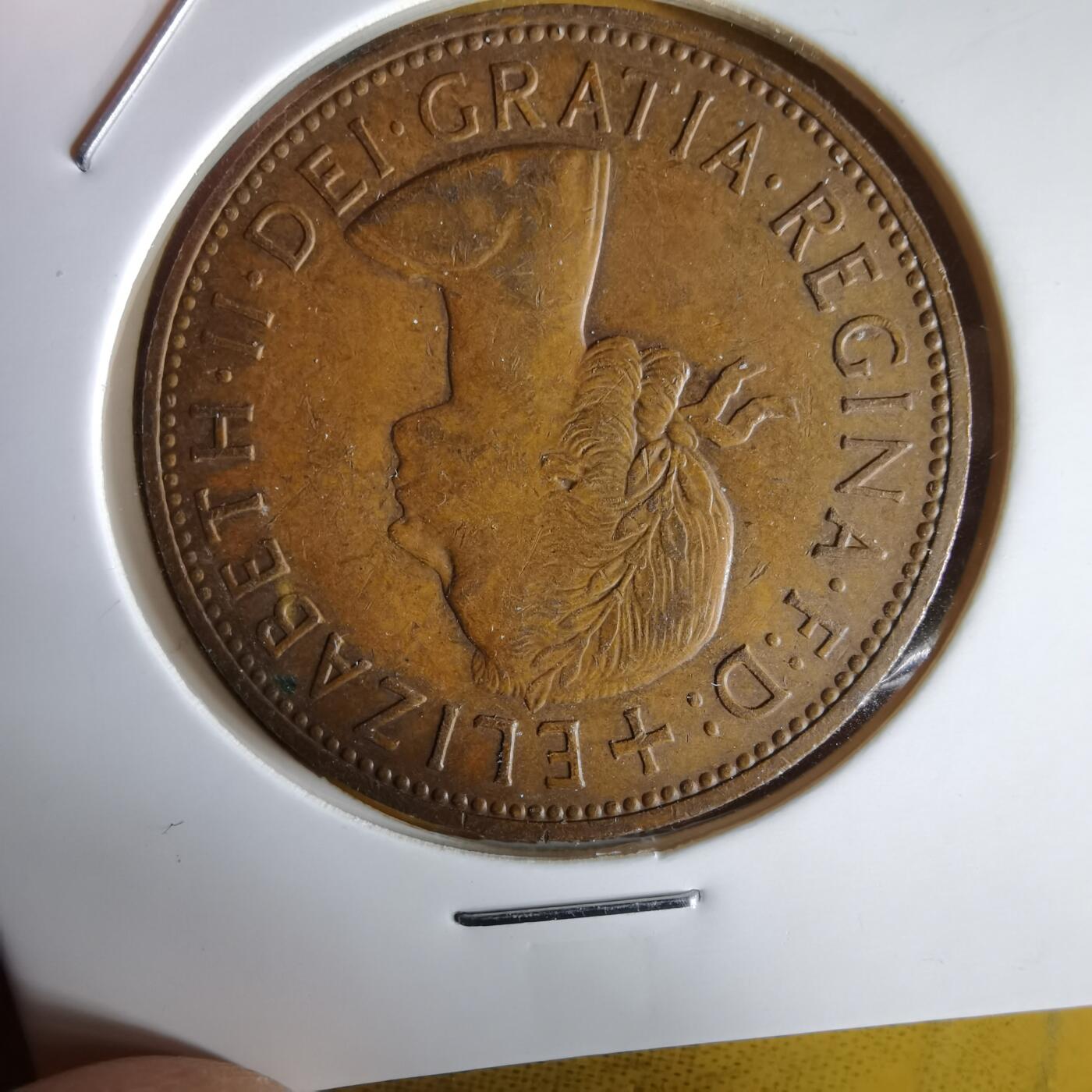 沼泽如烟--第1066场