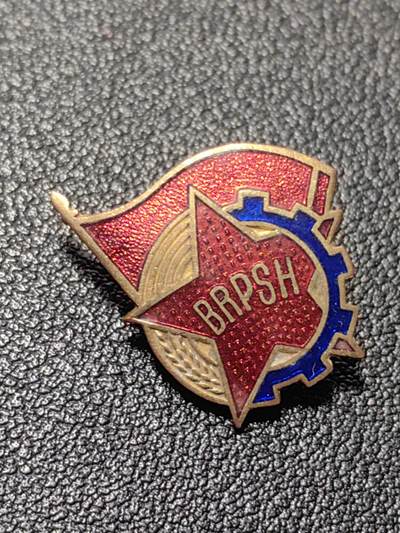 靖甫拍卖第十一场 - 阿尔巴尼亚劳动党党徽 铜珐琅