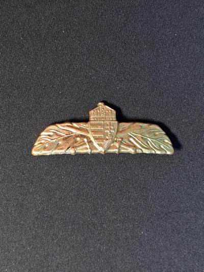 东亚欧洲主题杂货徽章勋章拍卖⑩ （五一大拍350+） 匈牙利空军兵种识别章 2