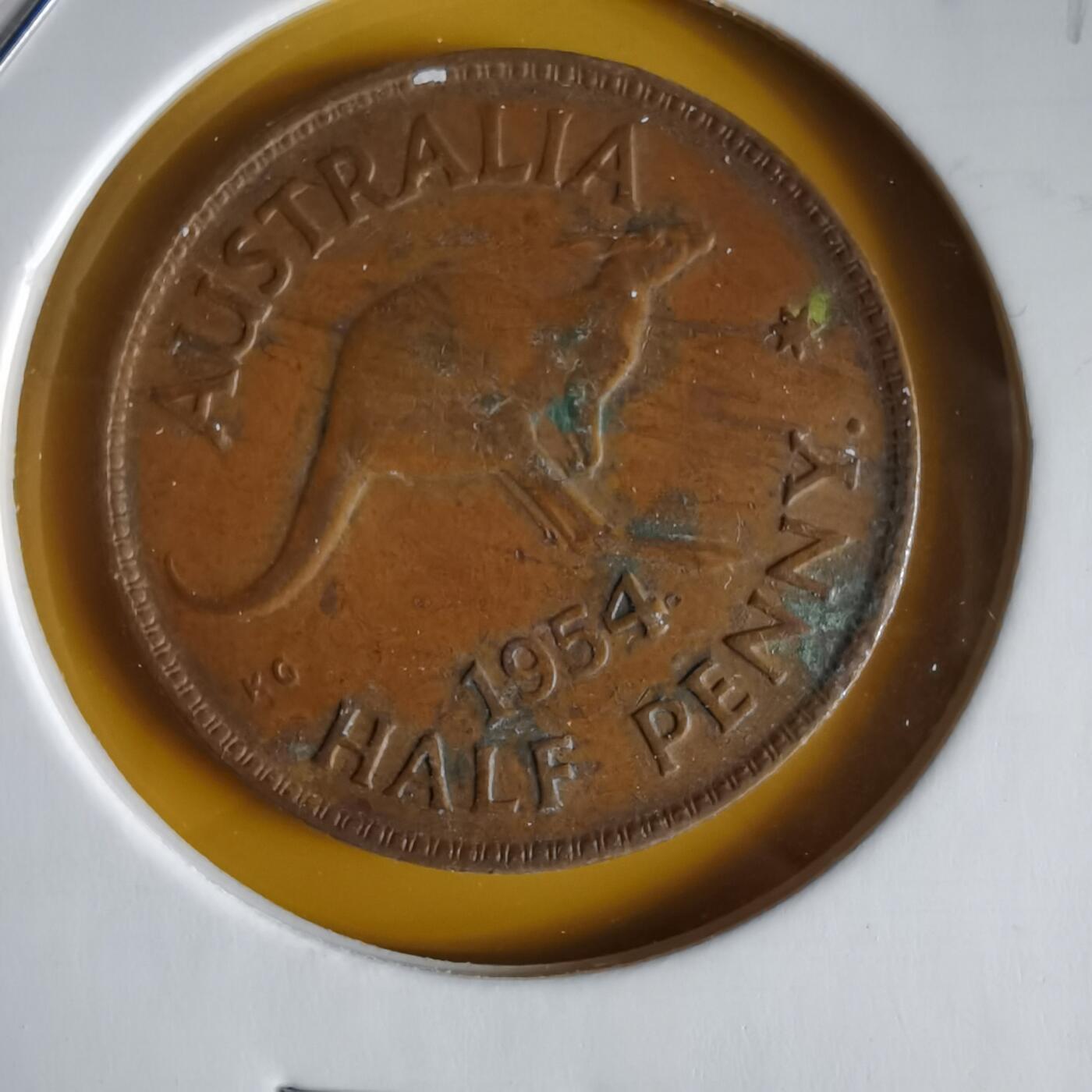 沼泽如烟--第1066场