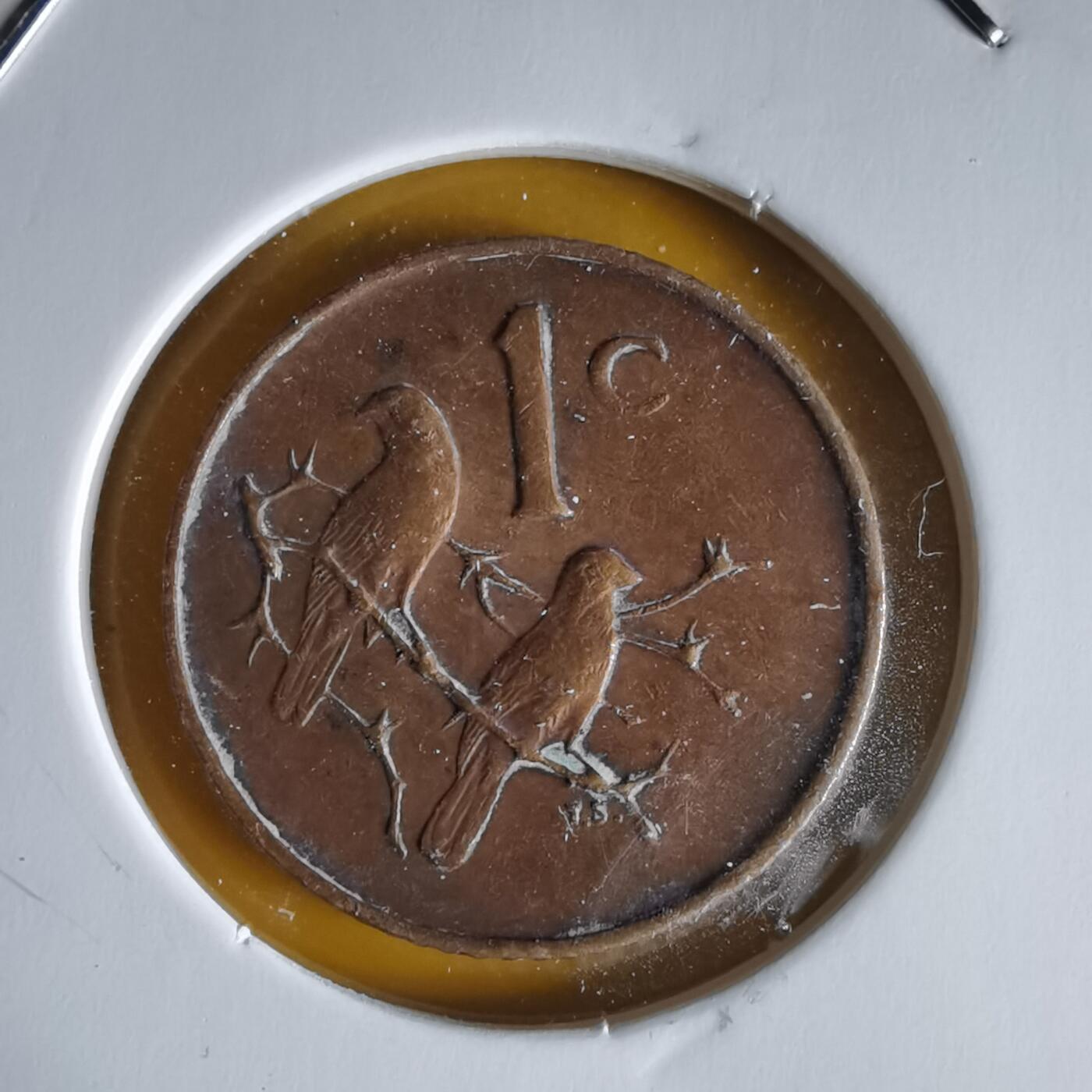 沼泽如烟--第1066场