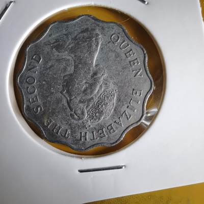 沼泽如烟--第1066场 香港1982年二元