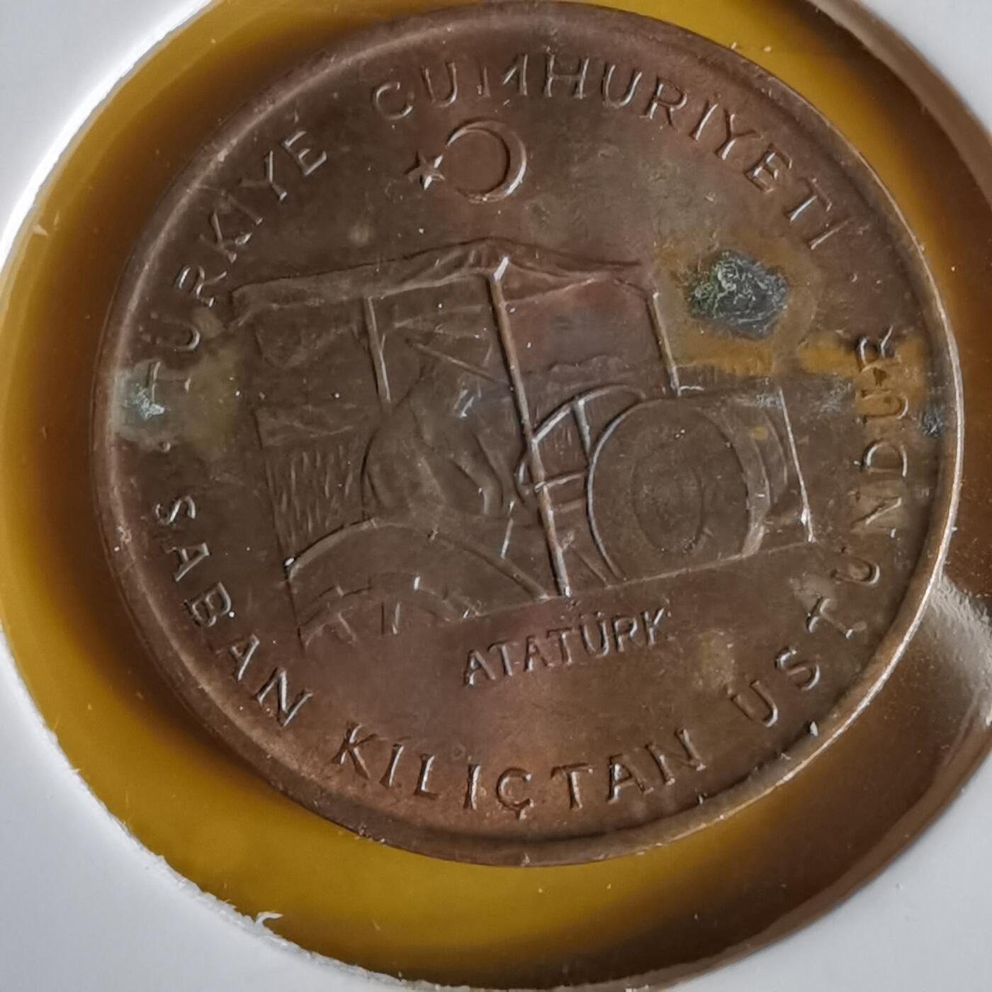 沼泽如烟--第1066场