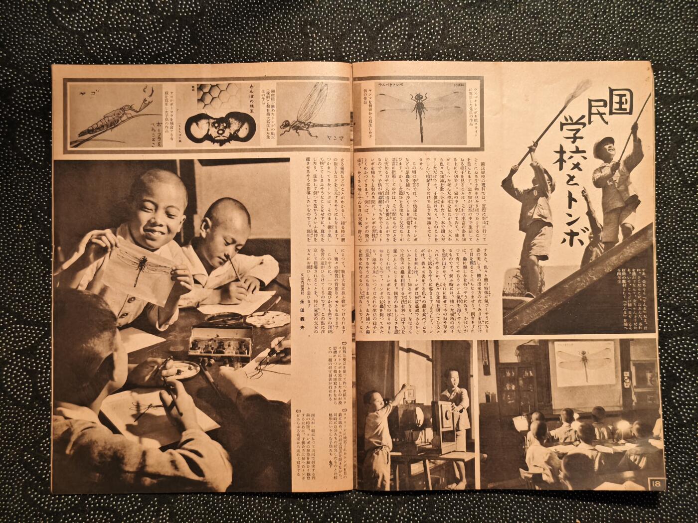 东亚欧洲主题杂货徽章勋章拍卖⑩ （五一大拍350+）