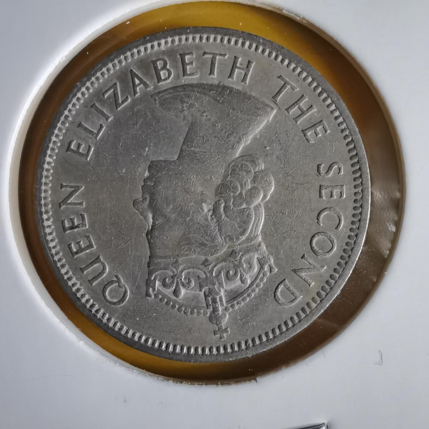 沼泽如烟--第1066场