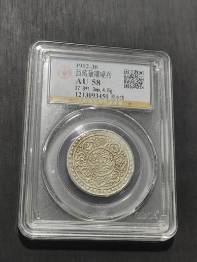 天下钱庄专场欢迎参拍 西藏章噶银币