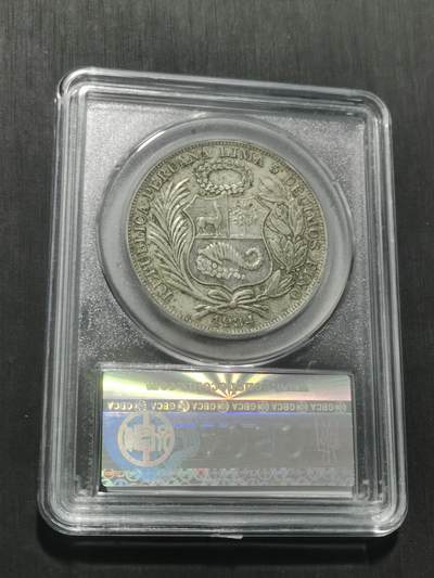 天下钱庄专场欢迎参拍 秘鲁1索尔银币