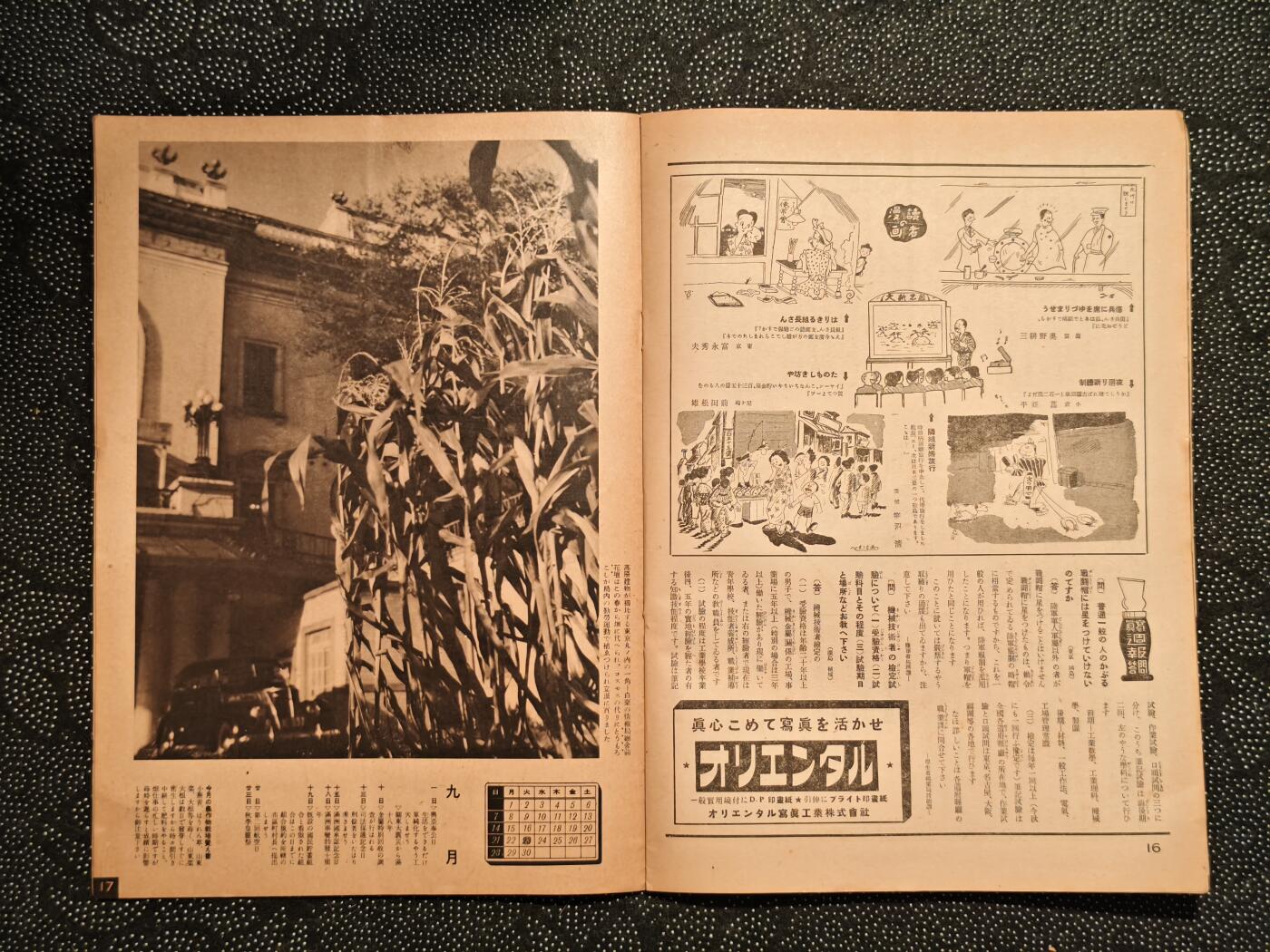 东亚欧洲主题杂货徽章勋章拍卖⑩ （五一大拍350+）