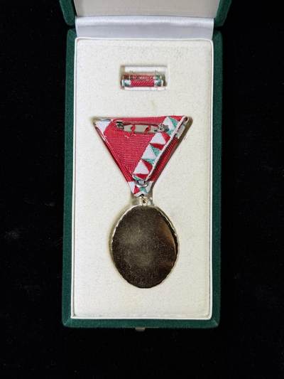 戎马世界章牌大赏第115期 匈牙利金级服役功勋奖章